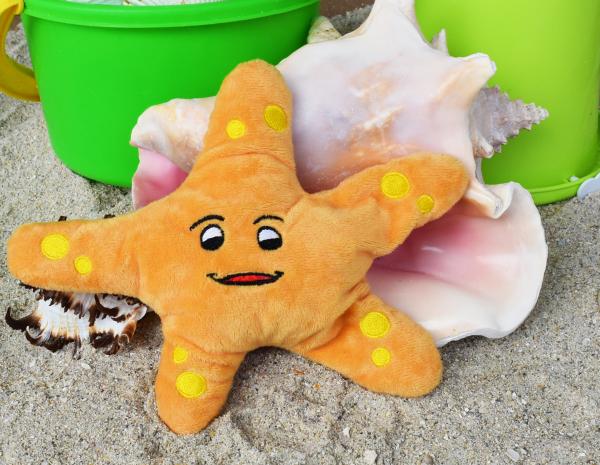 Steve the Starfish picture