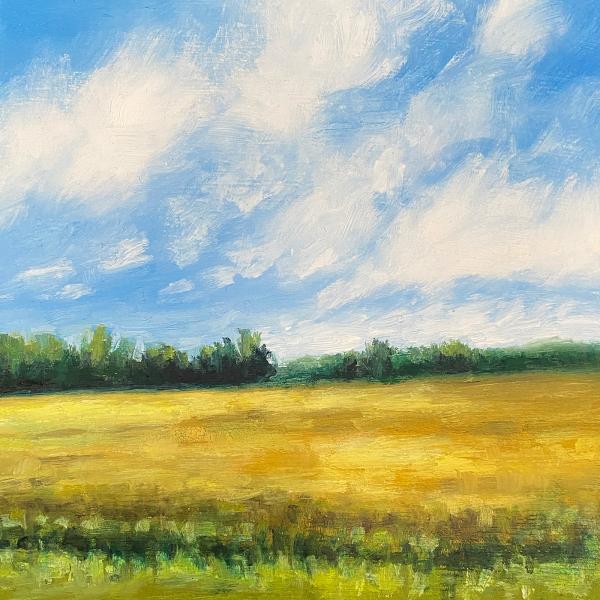 Yellow fields 2