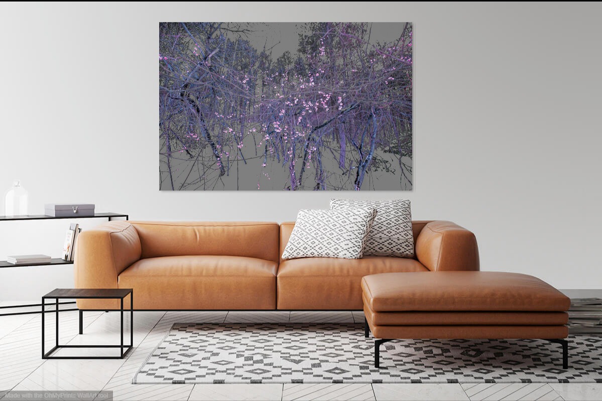 Winter Blossom_1 picture