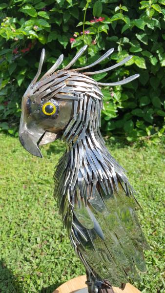 Parrot Sculpture picture