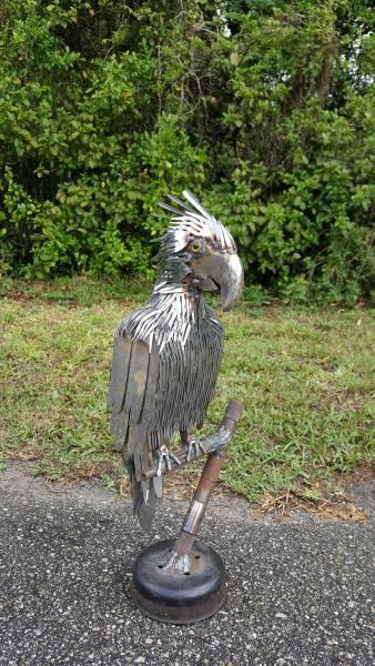 Heavy Metal Parrot picture