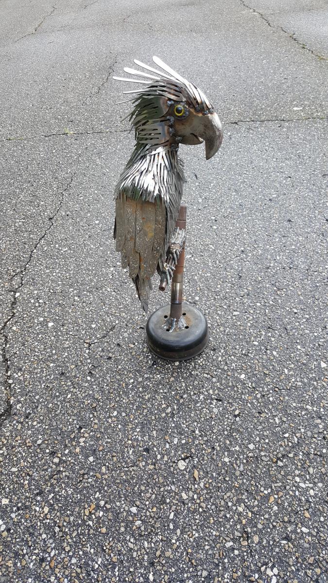 Heavy Metal Parrot picture