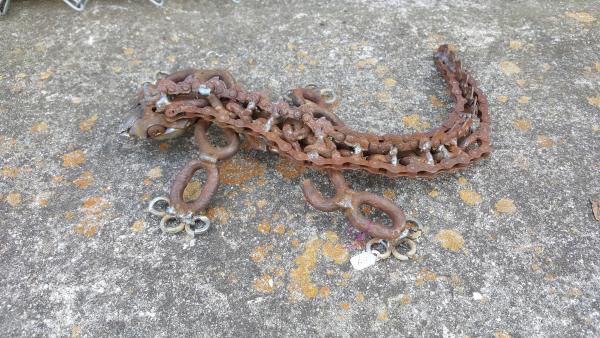 Scrap Metal Lizard sculpture picture