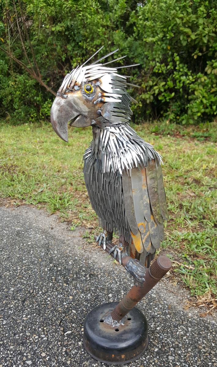 Heavy Metal Parrot picture