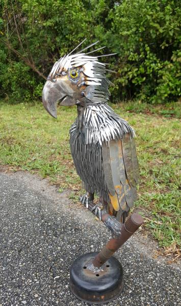 Heavy Metal Parrot picture