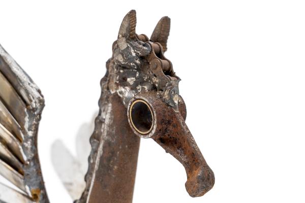 Pegasus picture