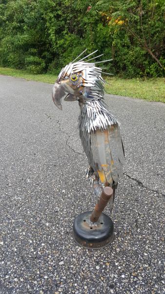 Heavy Metal Parrot picture