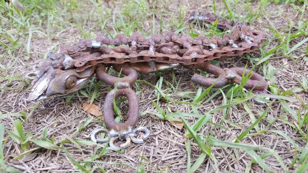 Scrap Metal Lizard sculpture picture