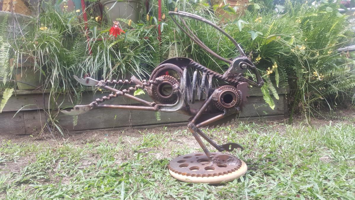 Running Hare picture