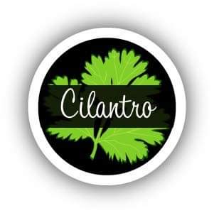 Cilantro Mexican Cuisine