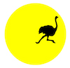 obstreperous ostrich