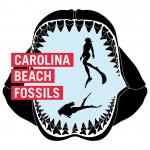 Carolina Beach Fossils
