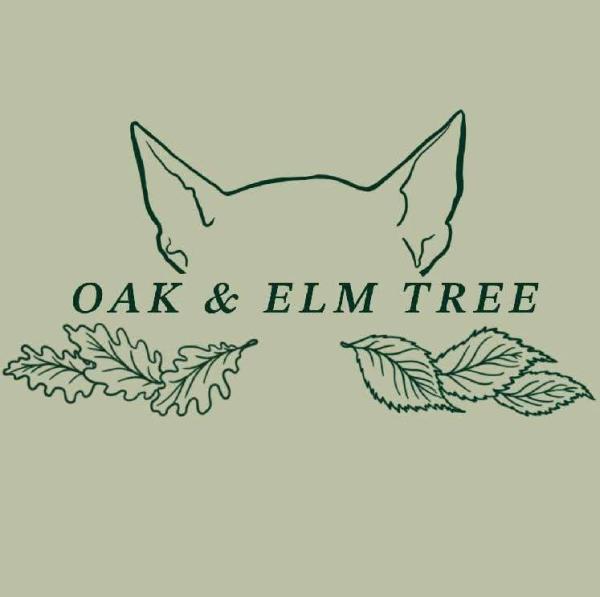 Oak and Elm Tree