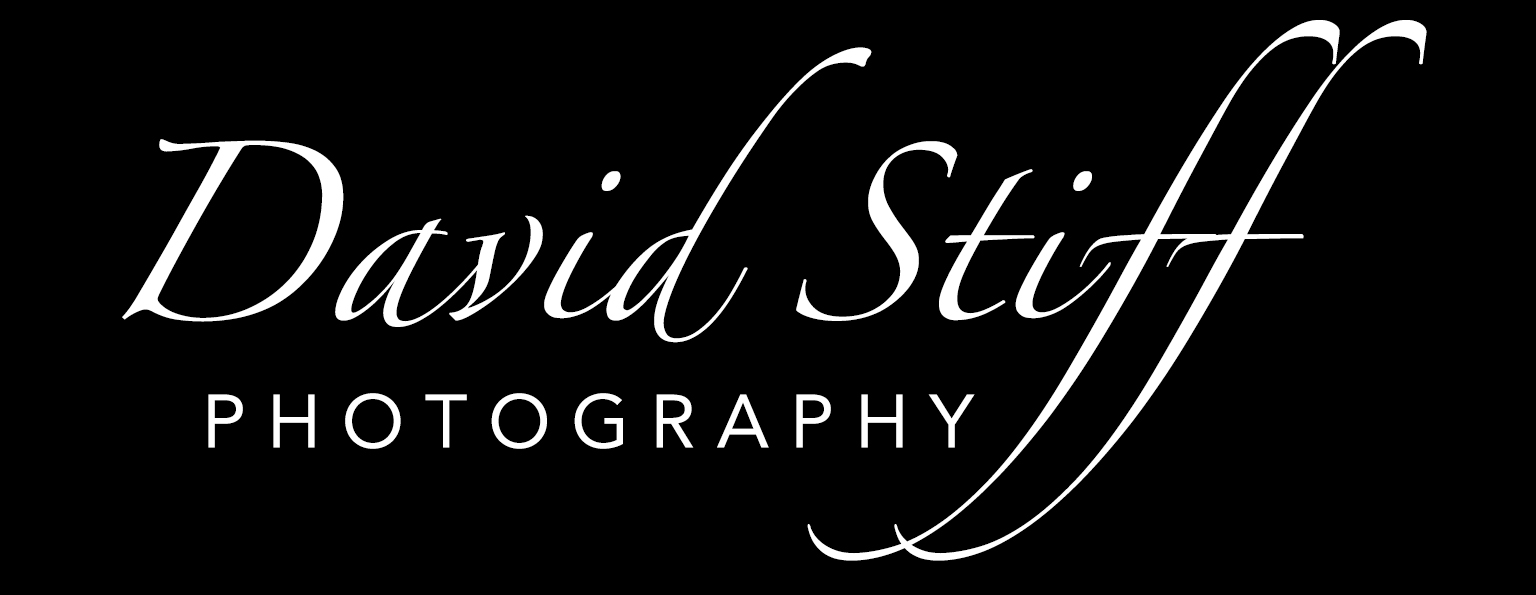 David Stiff Photography