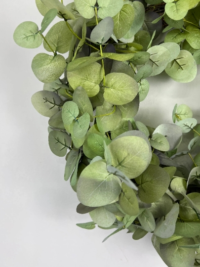 Eucalyptus with Bow picture