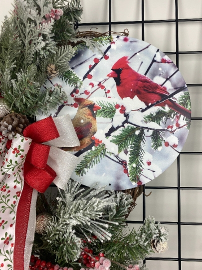 Cardinal Winter picture