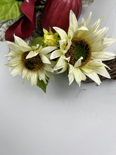 Sunflower Pink Pumpkins picture