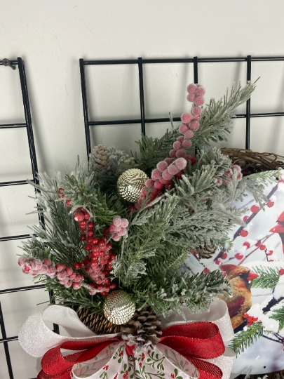 Cardinal Winter picture