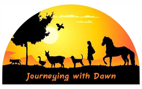 Journeying with Dawn