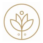 Revive Smoothie Bar