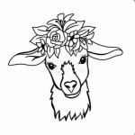 Lazy Magnolia Farm