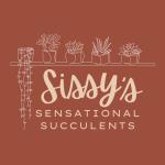 Sissy's Sensational Succulents