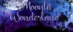 Moonlit Wonderland