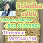 Wholesale 99% purity 5cladba 5F-adb SGT-78 raw material powder