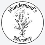 Wonderland's Nursery