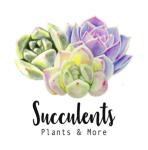 Succulents