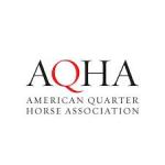 American Quarter Horse Association