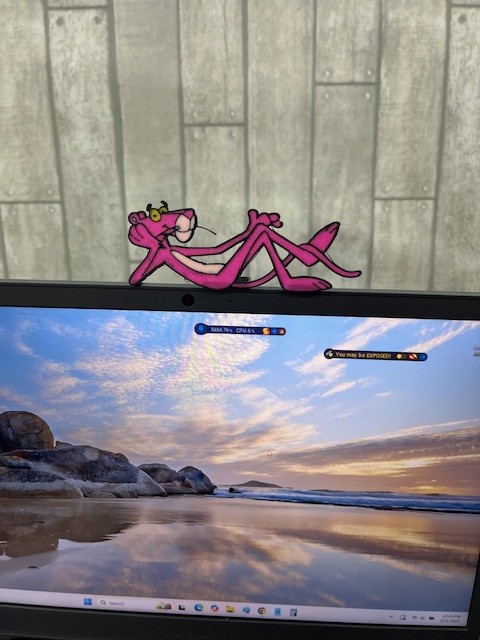 Pink Panther Monitor Sitter