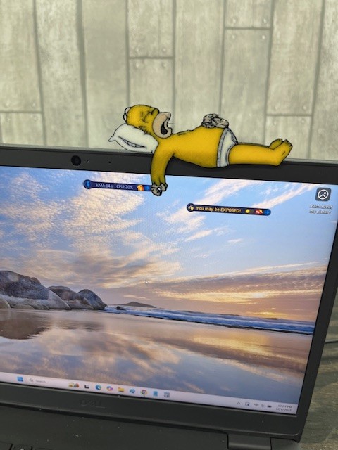 Homer simpson monitor sitter