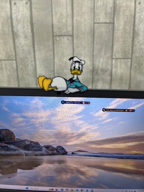 Donald Duck Monitor Sitter