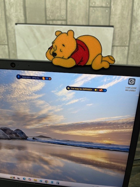 Winnie the Pooh Monitor Sitter