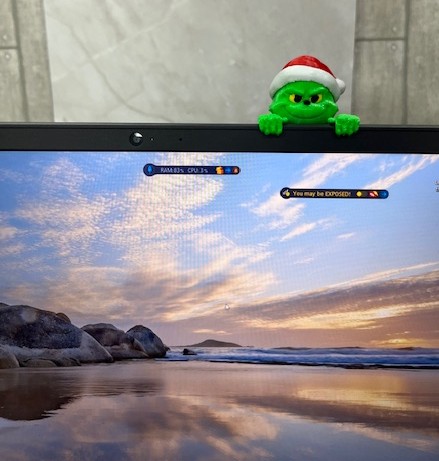 Grinch Monitor Sitter