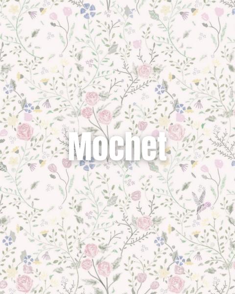 Mochet