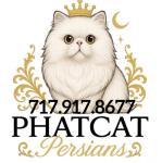 PhatCat Persians
