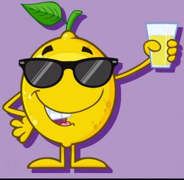 The Loaded Lemon LLC