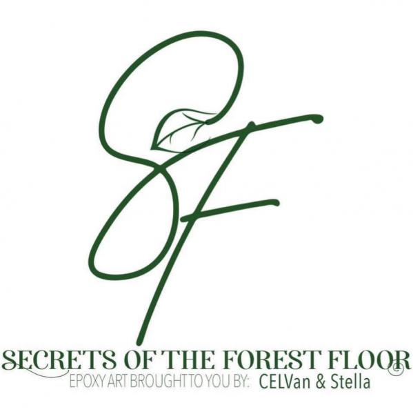 Secrets of the Forest Floor