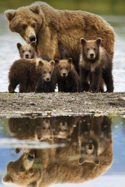 Mama Bear’s Handmade Treasures