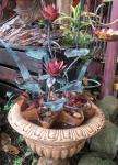 The Copper Garden
