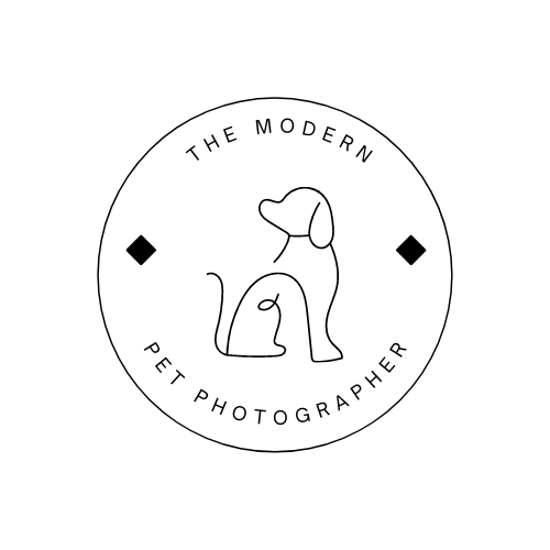 The Modern Pet Photographer