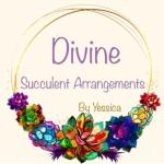 Divine succulent arrangements