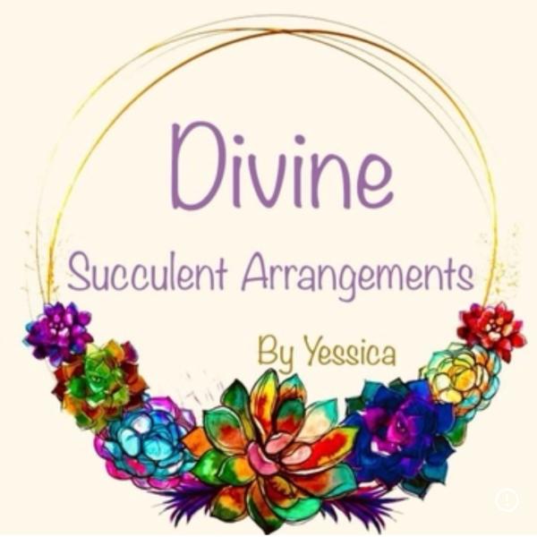 Divine succulent arrangements