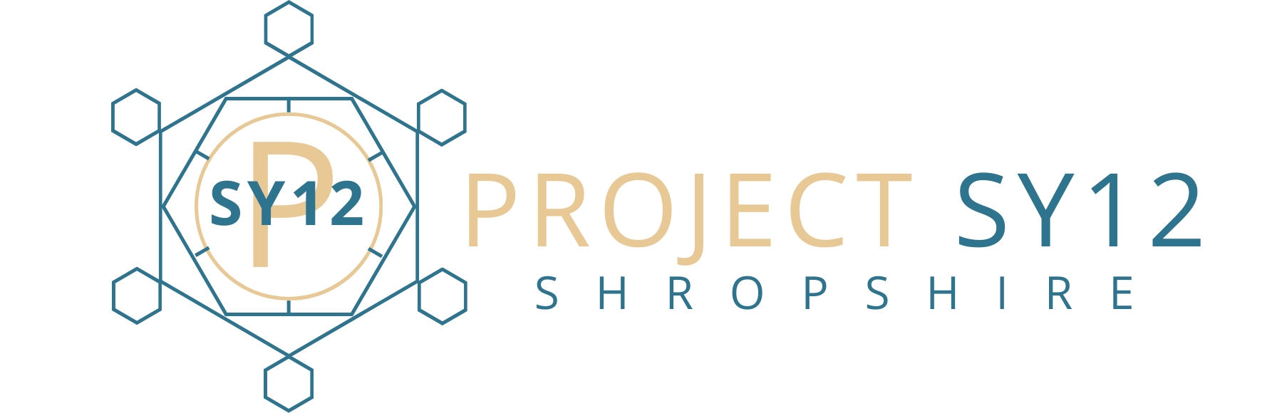 Project SY12 CIC