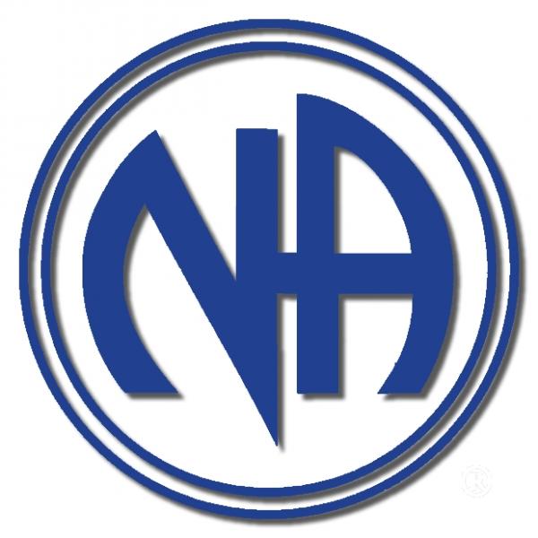 Dallas Area Narcotics Anonymous