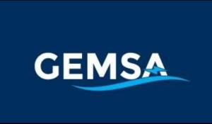 GEMSA LLC