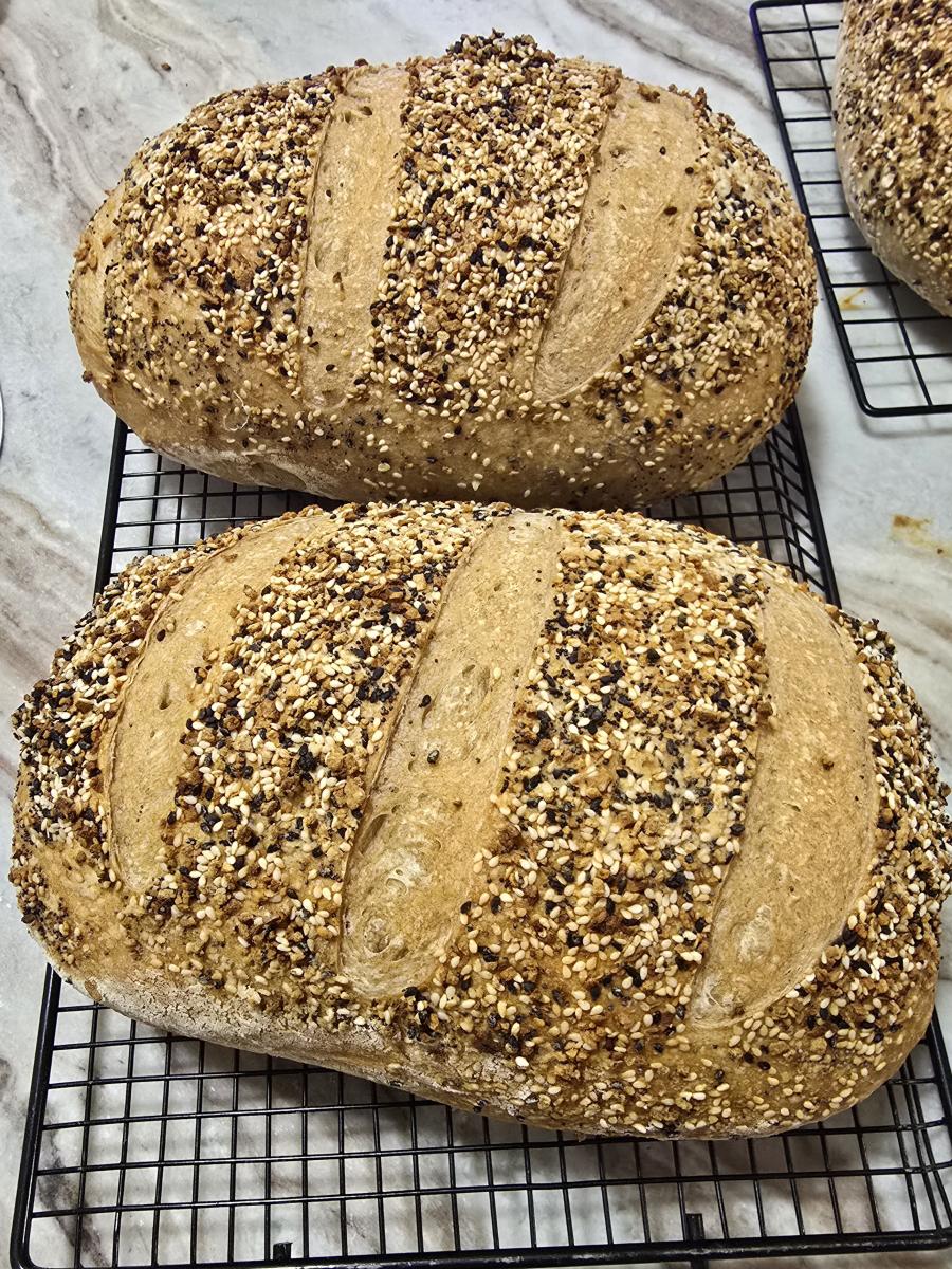 Everything  Bagel Sourdough picture