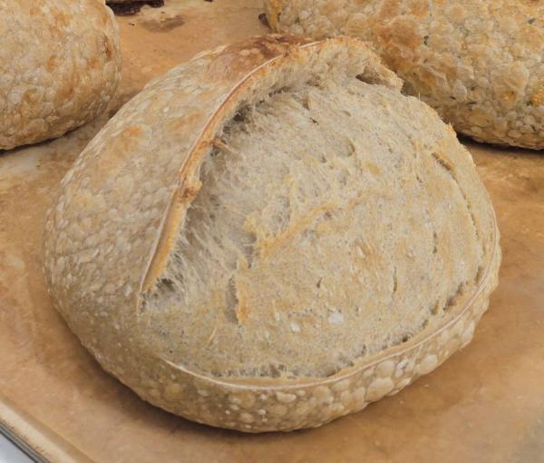 Classic Plain Sourdough